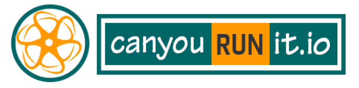 Can You Run It